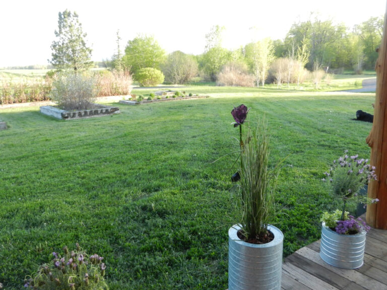 Southwest view of the lawn and meadow from the deck at the Gallatin River Cabin, Montana